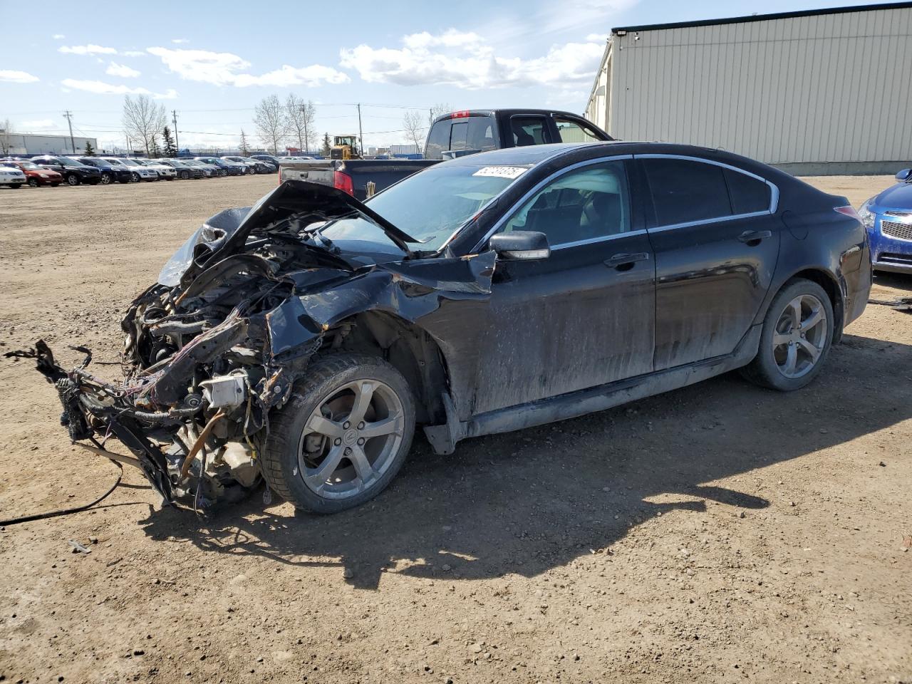 ACURA TL