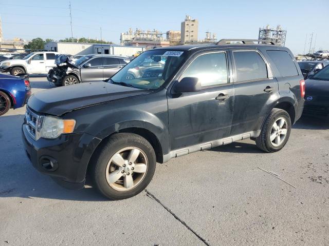 Vin: 1fmcu0dg4akc99907, lot: 52659335, ford escape xlt 2010 img_1
