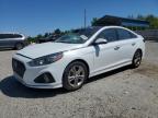 2019 HYUNDAI SONATA LIM - 5NPE34AF6KH753674