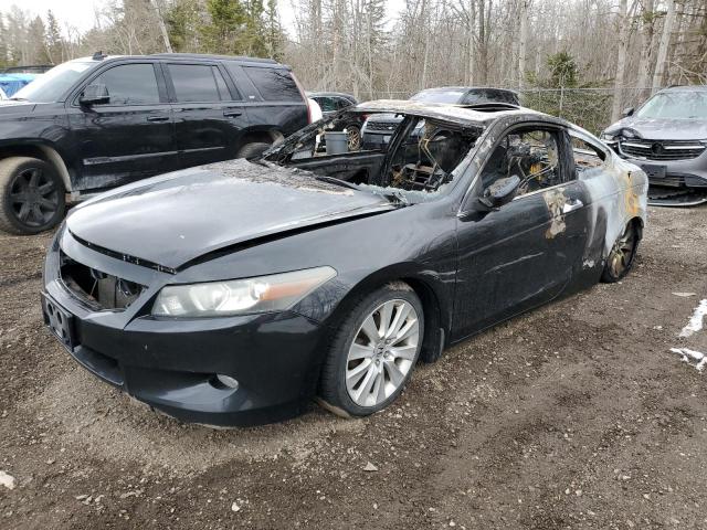 2010 HONDA ACCORD EXL - 1HGCS2B80AA800865