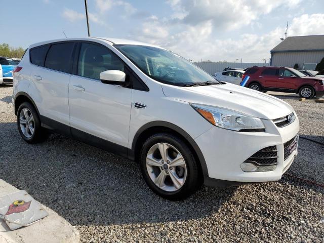 2015 FORD ESCAPE SE - 1FMCU0GX8FUC25252