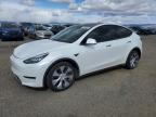 2023 TESLA MODEL Y - 7SAYGAEE2PF584621