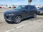 2024 HYUNDAI TUCSON BLU - KM8JBCD14RU220536