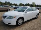 Top Destinations for Shipping Cars from the USA