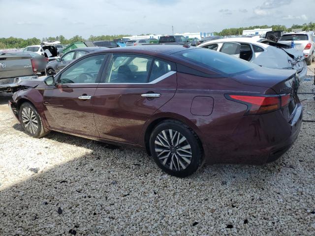 Vin: 1n4bl4dv4rn316441, lot: 53906445, nissan altima sv 20242