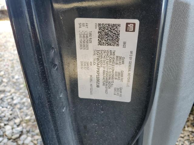 2023 GMC SAVANA G25 1GTW7AFPXP1100238