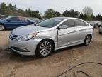 Top Destinations for Shipping Cars from the USA