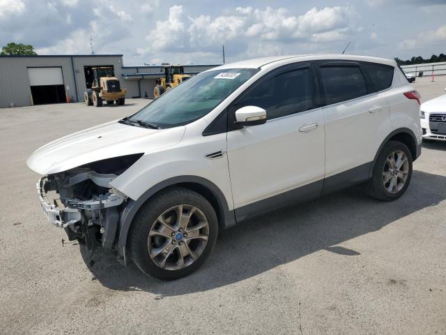 FORD ESCAPE SEL