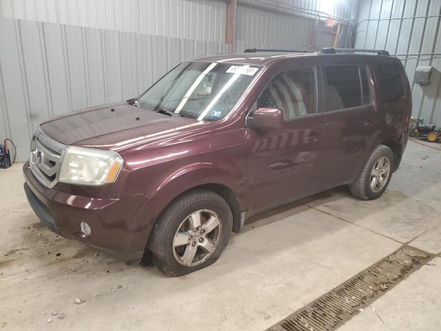 Vin: 5fnyf4h48ab018765, lot: 52441535, honda pilot ex 2010 img_1