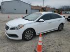 2016 HYUNDAI SONATA SPO - 5NPE34AF7GH267611