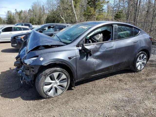 Vin: lrwygdee4pc162715, lot: 54182515, tesla model y 2023 img_1