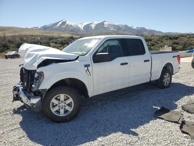 Vin: 1ftfw1e8xpfa32569, lot: 53295445, ford f-150 supercrew 2023 img_1