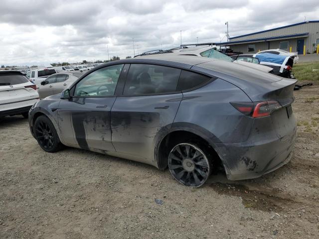 Vin: 5yjygdee8mf139620, lot: 53564535, tesla model y 20212