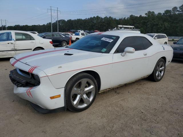 Vin: 2c3cdyag9eh123511, lot: 53463705, dodge challenger sxt 2014 img_1