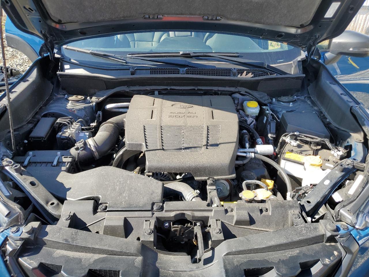 SUBARU FORESTER WILDERNESS