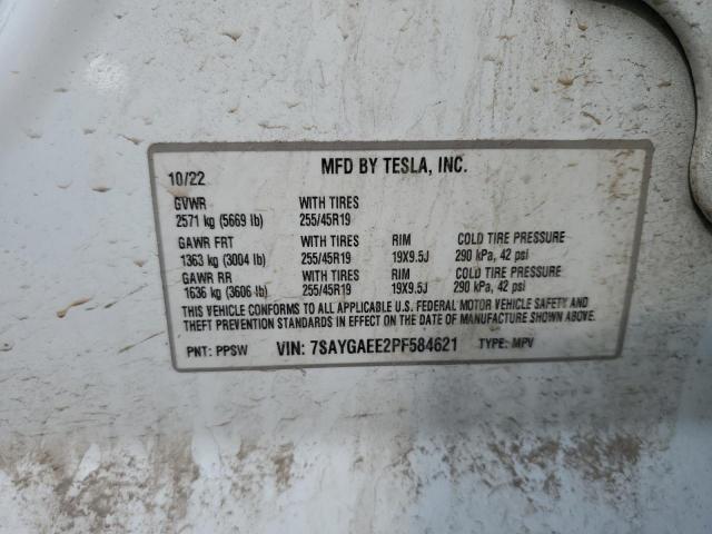 2023 TESLA MODEL Y - 7SAYGAEE2PF584621