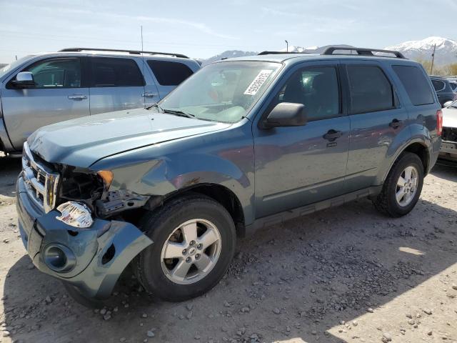 Vin: 1fmcu9d76bkc23353, lot: 52498265, ford escape xlt 2011 img_1