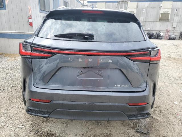 2023 LEXUS NX 250 2T2ADCAZXPC003877