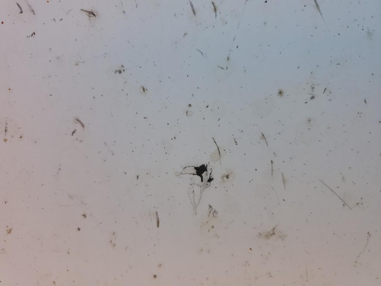 Lot #3287487999 2004 WABASH UNKNOWN