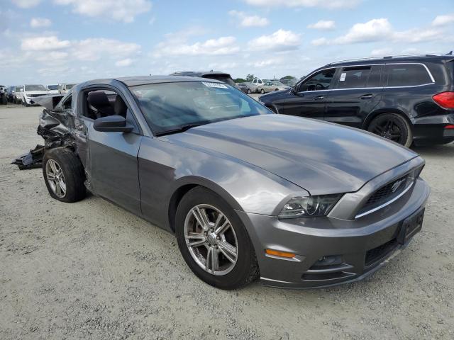 Vin: 1zvbp8amxd5202631, lot: 53133195, ford all models 20134
