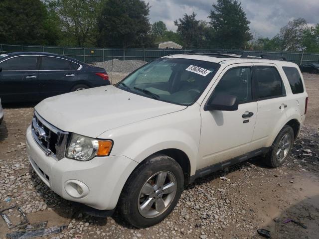 Vin: 1fmcu0d75ckb41319, lot: 53888445, ford escape xlt 2012 img_1