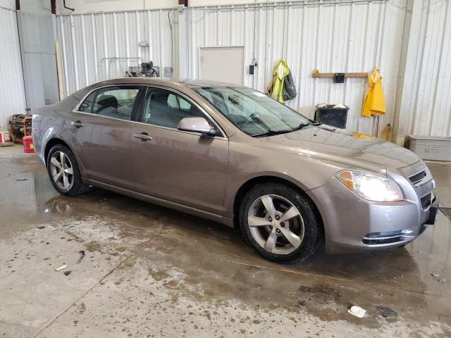 2011 CHEVROLET MALIBU 1LT - 1G1ZC5E10BF233849