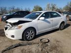 Top Destinations for Shipping Cars from the USA