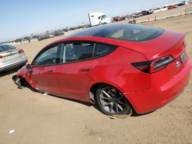 Vin: 5yj3e1ea9pf447461, lot: 52589635, tesla model 3 20232