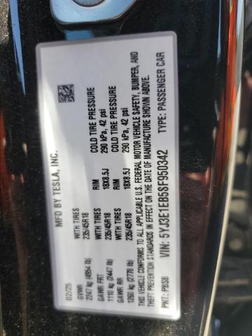 2025 TESLA MODEL 3 5YJ3E1EB5SF950342