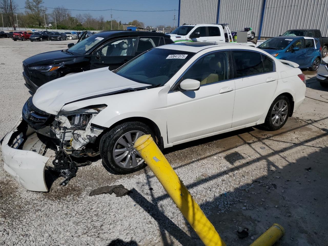 HONDA ACCORD EXL