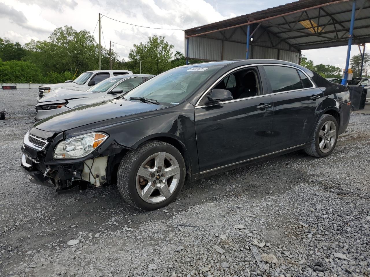 CHEVROLET MALIBU 1LT
