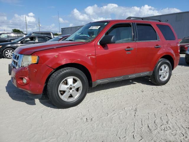 Vin: 1fmcu9dg0bkb19571, lot: 55077725, ford escape xlt 2011 img_1