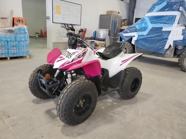 HONDA TRX90 X 2023 white  gas 1HFTE5504P4100941 photo #3
