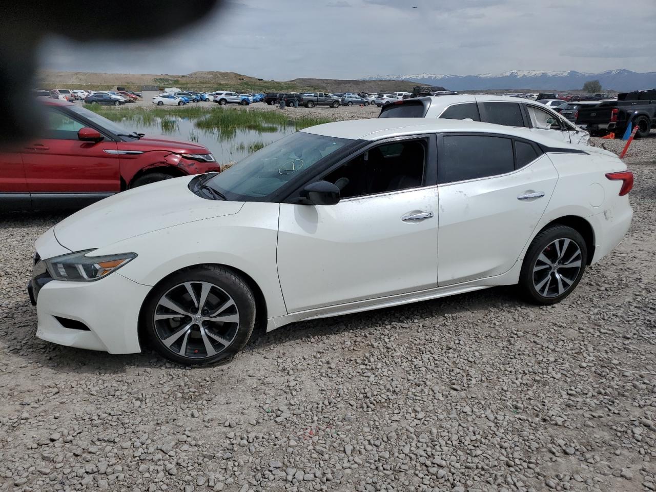 NISSAN MAXIMA 3.5S