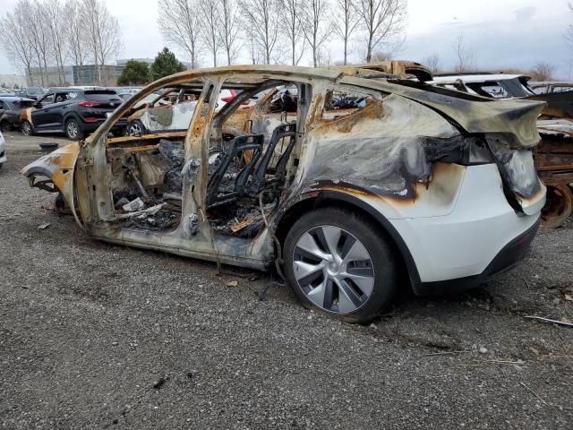 Vin: lrwygdfdxpc902306, lot: 52530135, tesla model y 20232
