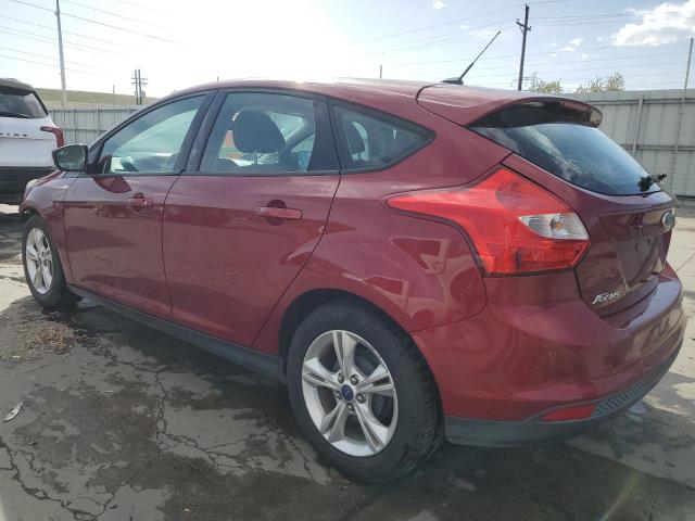 FORD FOCUS SE 2013 burgundy  gas 1FADP3K29DL107412 photo #3