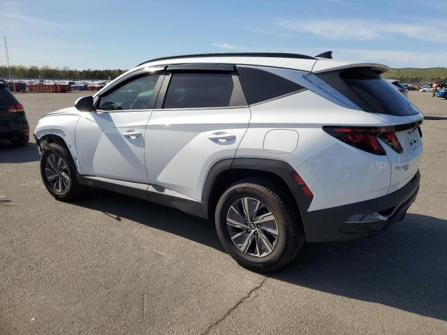 Vin: km8jbcd13ru194897, lot: 55205145, hyundai tucson blue 20242