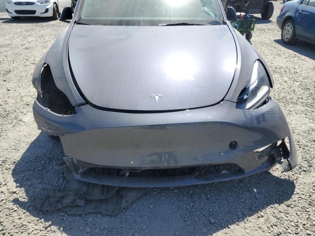 2023 TESLA MODEL Y #3291554917