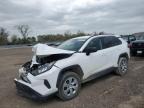 2019 TOYOTA RAV4 LE - 2T3F1RFV5KC029024