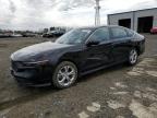 2024 HONDA ACCORD LX - 1HGCY1F24RA051238