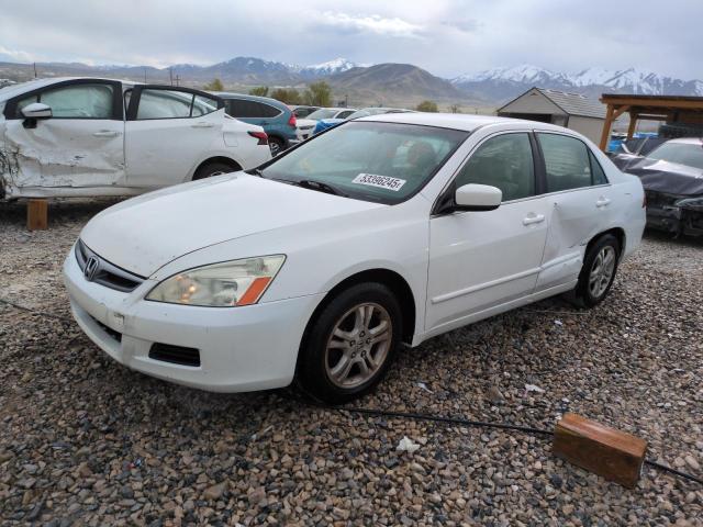HONDA ACCORD SE