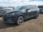 2019 JEEP CHEROKEE L - 1C4PJLCB6KD370553