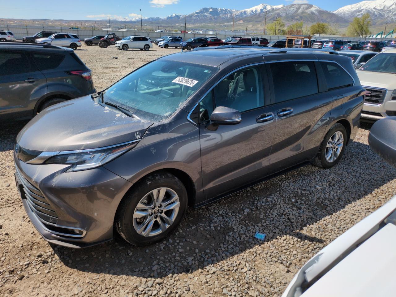 TOYOTA SIENNA LIMITED