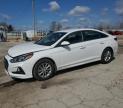 2019 HYUNDAI SONATA SE - 5NPE24AF1KH790411
