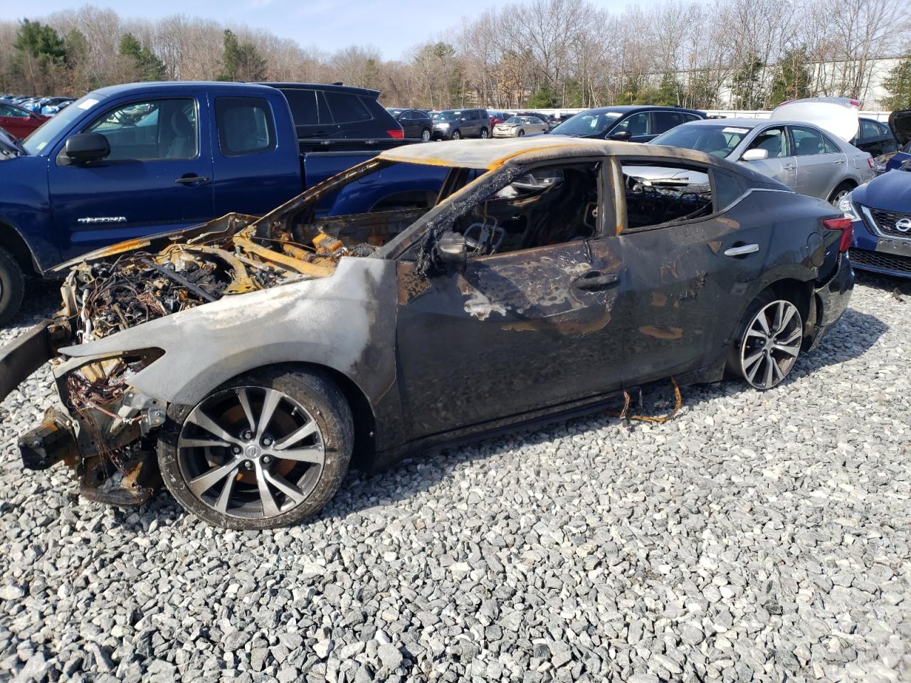 NISSAN MAXIMA 3.5S