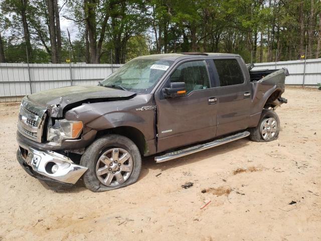 Vin: 1ftfw1ct5dkg38419, lot: 51580805, ford f-150 supercrew 2013 img_1