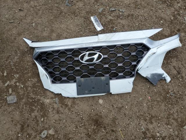 2019 HYUNDAI SANTA FE L - 5NMS5CAD7KH069719