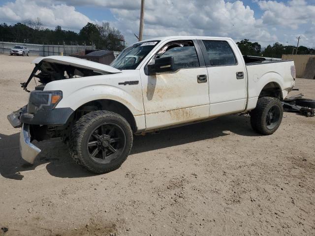 Vin: 1ftfw1cf1dfe01056, lot: 51658225, ford f-150 supercrew 2013 img_1