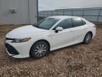 2020 TOYOTA CAMRY LE - 4T1C31AK1LU018221