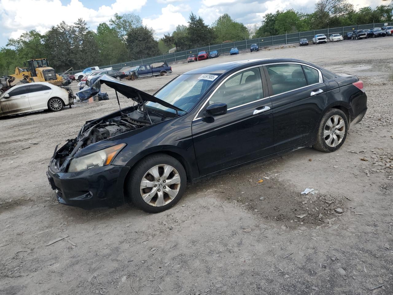 HONDA ACCORD EXL